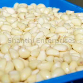 peeled-garlic